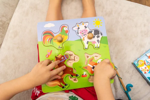 Uma Criança Brinca Com Quebra Cabeças Madeira Com Animais — Fotografia de Stock