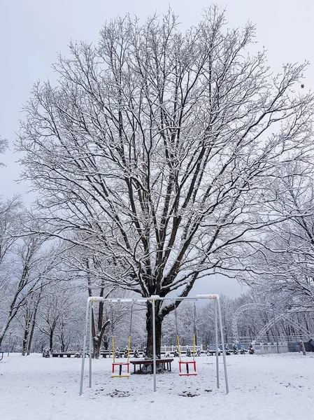 Parque Vacío Con Columpio Para Niños Nieve Gran Árbol Viejo —  Fotos de Stock