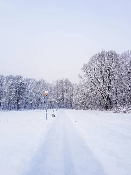 Μονοπάτι Ένα Άδειο Χιονισμένο Πάρκο Ένα Κρύο Χειμωνιάτικο Πρωινό — Φωτογραφία Αρχείου