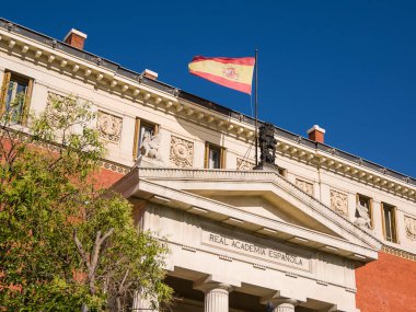 Gerçek İspanya Akademisi 'nin (RAE) bayraklı binasının ayrıntıları