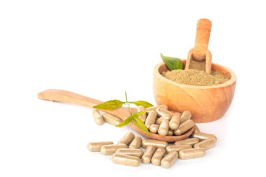 Andrographis Paniculata kapsülleri ve Paniculata özü toz, yaprak, kaşık tahta kasede, beyaz arka planda izole..