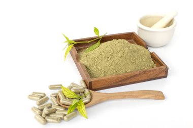 Andrographis Paniculata özü toz tahtadan fincan tabağı, yaprak ve kapsüller, bitkisel, beyaz arka planda izole.