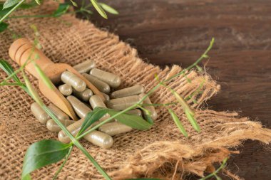 Andrographis panikleme kapsülleri tahta kaşık ve yaprak, kahverengi çuval ve ahşap zemin üzerinde.