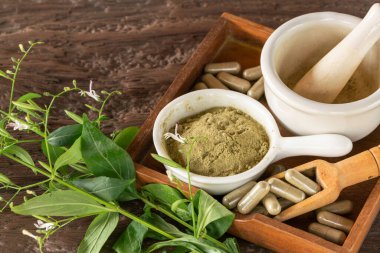 Andrographis Paniculata özü beyaz kasede toz ve tahta tabakta kapsüller, yaprak, bitkisel kapsüller ahşap arka planda.