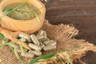 Andrographis panikleme kapsülleri ahşap kaşık ve panikleme özü tozları tahtadan bir kase, yaprak, çuval ve ahşap arka planda..