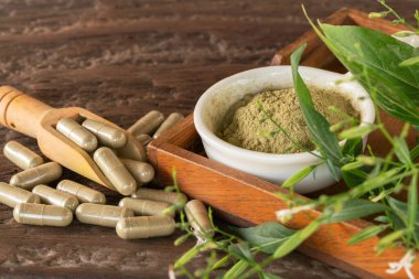 Andrographis, tahta kaşıkta panikleyen kapsüller, beyaz fincanda ve yaprakta, ahşap arka planda, panikleten özüt tozu..