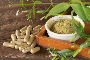 Andrographis Paniculata kapsülleri, Paniculata özü beyaz bardakta ve tahta arka planda yaprak..