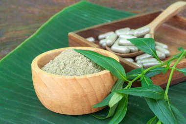 Andrographis paniculata özü ahşap kasede (kariyer), tahta kaşıkta bitkisel kapsül ve muz yaprağında ahşap tabak ve eski ahşap arka planda. Panikleyerek vücuttaki bağışıklık sistemini uyarır..