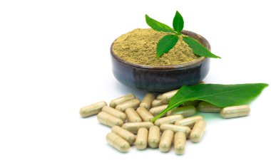 Andrographis Paniculata özü seramik bardakta ilaç bitkisi, bitkisel kapsüller ve beyaz arka planda izole edilmiş taze yapraklar..