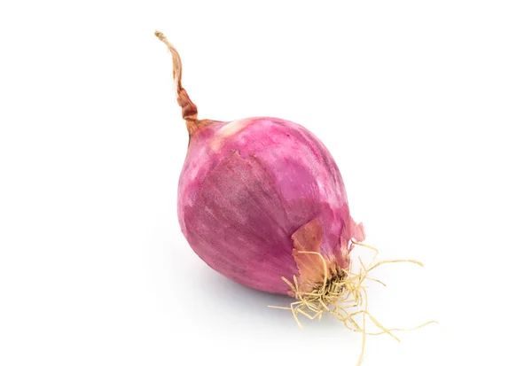 Red Onion Isolated White Background — Stock Photo, Image