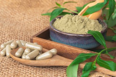 Andrographis, tahta kaşıkta panikleme kapsülleri, yeşil seramik kasede panikleme tozu ve arka planda taze yapraklar..