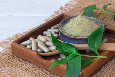 Andrographis, tahta kaşıkta paniklemiş bitkisel kapsüller ve tahta tabakta seramik kaptaki toz eski beyaz tahta masa örtüsü ile kaplanmış..