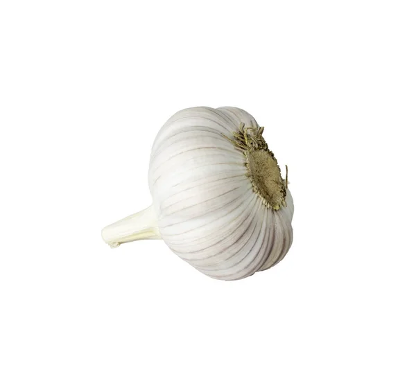 Garlic Bulbs Allium Sativum Isolated White Background Garlic Helps Strengthens — Stock Photo, Image