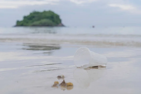 Disposable transparent plastic tumblers are left on the beach causing environmental problems.
