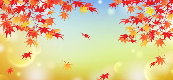 秋天的叶子有一种模糊的背景 Bokeh效应 十月的日本枫树 具有红色和黄色分枝的水平构图 平面风格 — 图库矢量图片
