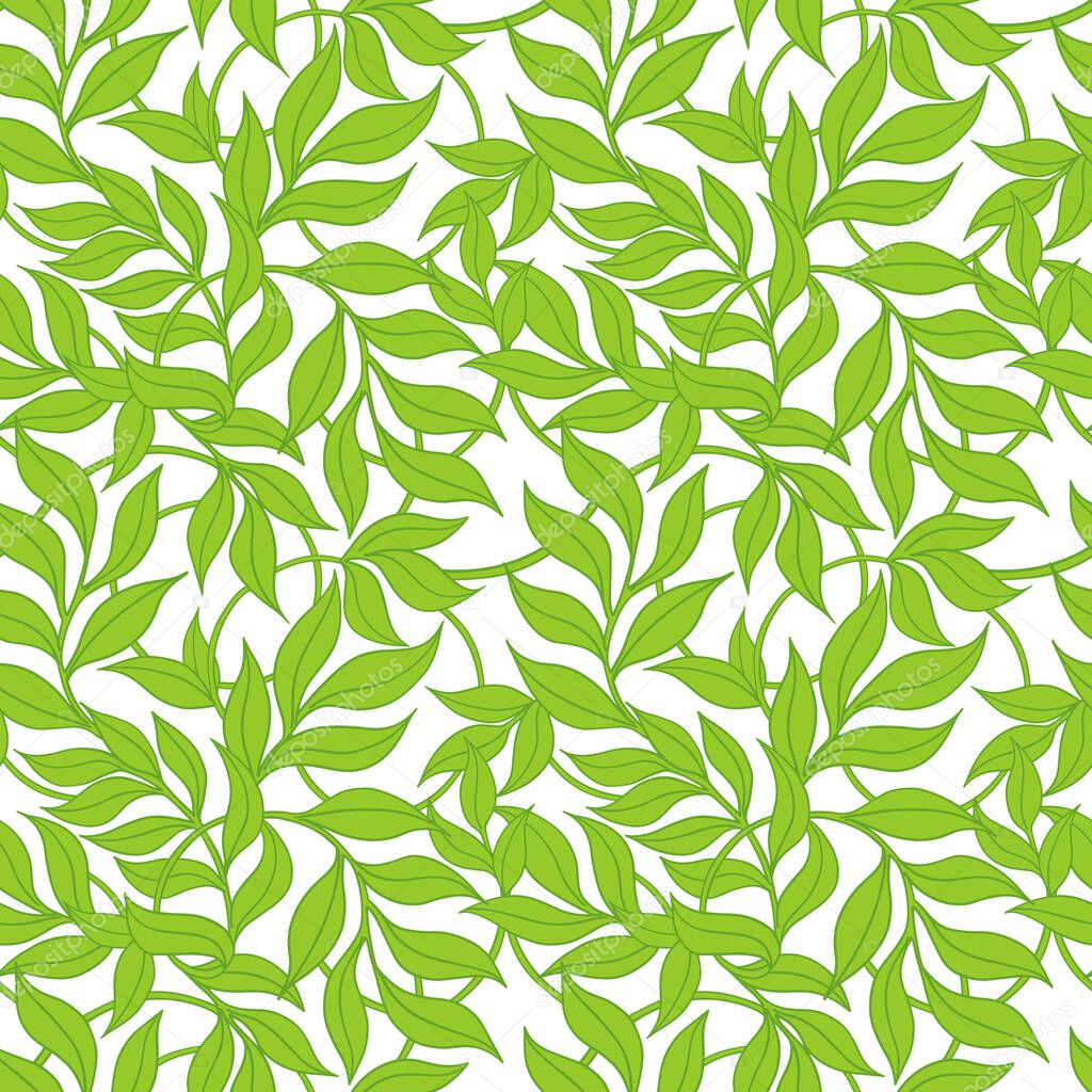 Seamless pattern of green creeping shoots. Hanging leaves of tradescantia, landscaping. Vector drawing for wallpaper, covers, packaging paper. Green ivy.