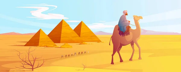 Egypt pouštní krajina s pyramidami a velbloudy — Stockový vektor