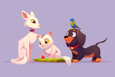 Ev hayvanları, beyaz kedi, şirin kedi, papağan ve köpek.