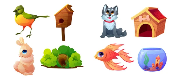 Set pets, domestic animals and their homes, vector — Stock Vector