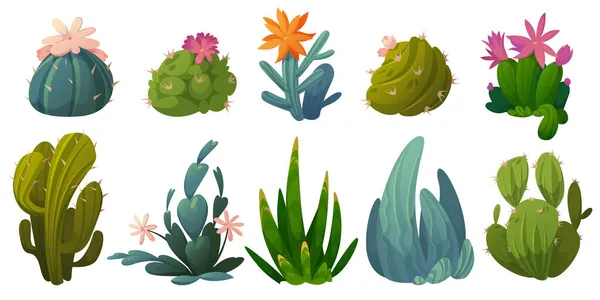 Słodkie kaktusy, soki i rośliny pustynne — Wektor stockowy