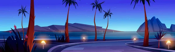 沙滩上的路，夜间有棕榈树 — 图库矢量图片