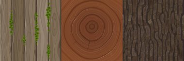 Wooden textures of cut tree trunk, bark and boards