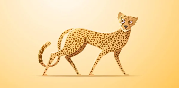 치타, 아프리카 의대 지걷기 — 스톡 벡터