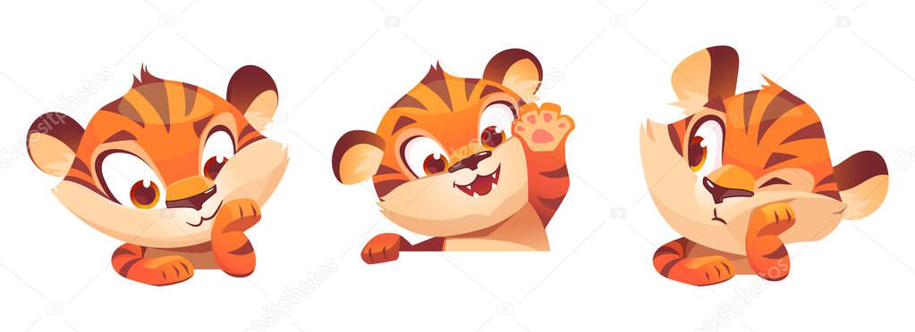 Cute tiger cartoon character, funny animal mascot