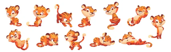 Симпатичный Тигр Талисман Дикого Животного Разных Позах Векторный Набор Мультфильмов — стоковый вектор