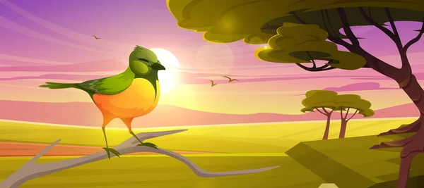 Mignon oiseau assis sur la branche dans la savane au coucher du soleil — Image vectorielle