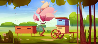 Apiary, bal arısı çiftliği Çayırda ahşap kovanları olan