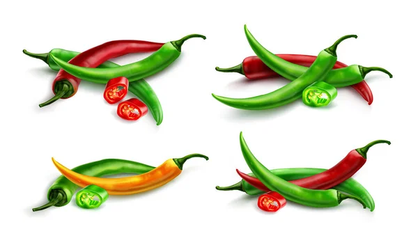 Rote Chilischote, scharfer Paprika Cayenne — Stockvektor