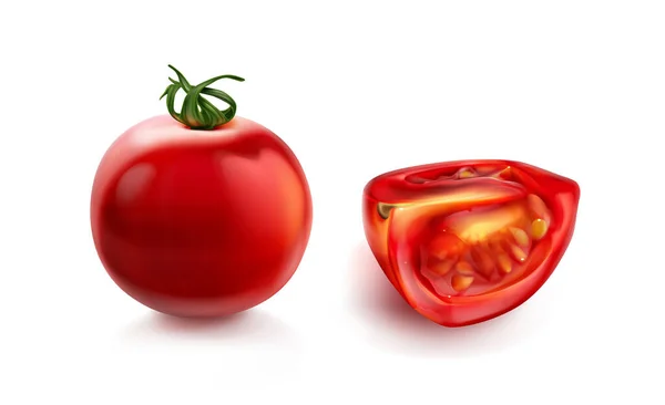 Tomato cherry, red tomatoes with green stalk — Vector de stock