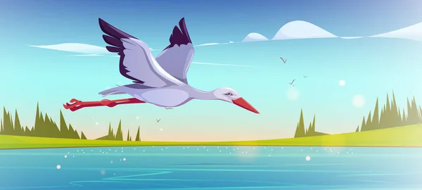 White stork flying above lake in morning. Vector cartoon illustration of summer rural landscape, nature scene with green grass and coniferous trees on river shore and wild bird ciconia