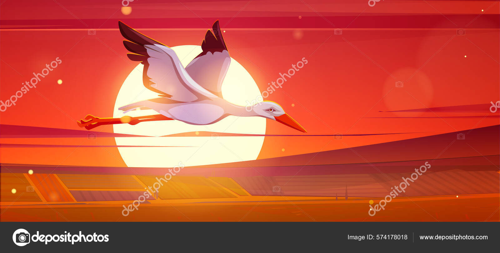 White Stork Flying Agriculture Fields Background Big Sunset Sun Vector Stock Vector Image By C Klyaksun White Stork Flying Agriculture Fields Background Big Sunset Sun Vector Stock Vector Image By C Klyaksun