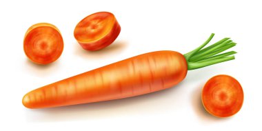 Havuç vektörü izole edildi. Yeşil yapraklı portakal dilimlenmiş sebze ve beyaz arka planda gerçekçi bir gölge.