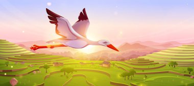 Gün batımında ya da gün doğumunda gökyüzünde uçan beyaz leylek. Dağlarda Asya pirinç tarlaları olan güzel vahşi bir kuş. Manzara yaz yaban hayatı arka planı, Çizgi film Vektör illüstrasyonu