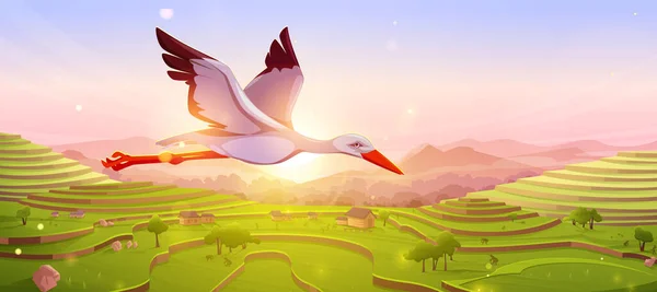 White stork flying in sky at sunset or sunrise. Beautiful wild bird over natural landscape with Asian rice field terraces in mountains. Scenery summer wildlife background, Cartoon Vector illustration