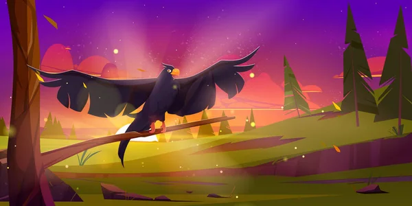 Black Eagle Sitting Tree Branch Beautiful Sunset Landscape Falcon Crow — Stock vektor