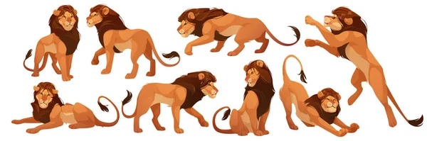 Lion Wild African Animal Isolated Set Proud Powerful Leo King — Stok Vektör