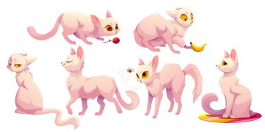 Cute white cat character in different poses. Vector cartoon illustration of funny kitten sitting carpet, walking, scared of banana and bee, play with yarn ball and grumpy clipart