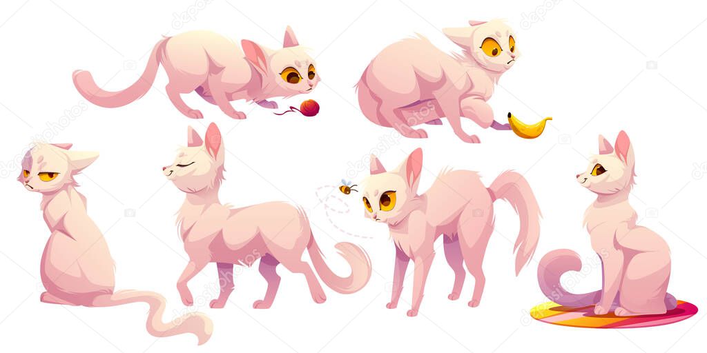 Cute white cat character in different poses. Vector cartoon illustration of funny kitten sitting carpet, walking, scared of banana and bee, play with yarn ball and grumpy