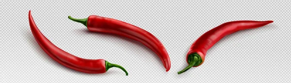 Chili Pepper Realistic Image Transparent Background Vector Png Illustration Red — стоковый вектор