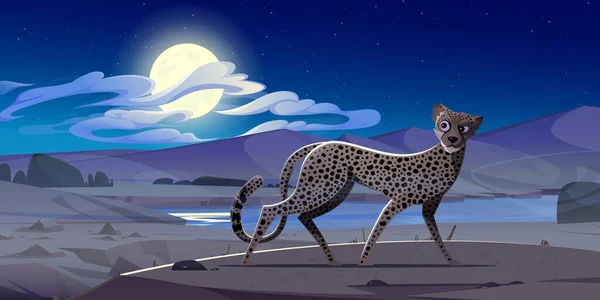 Cheetah Night African Desert Landscape Exotic Wild Animal Spotted Fur — Wektor stockowy