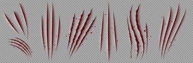 Blood scratches of wild animal claws, red scary talons marks isolated on transparent background. Vector realistic illustration of torn slashes from cat, tiger or bear paw, monster attack