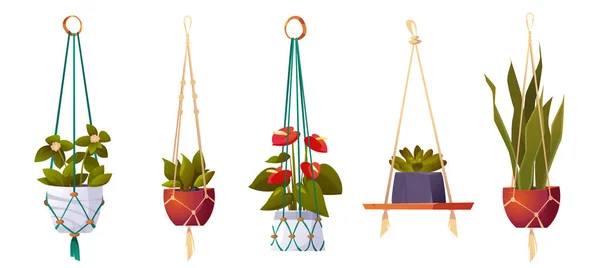 House Plants Hanging Pots Isolated Set Flowers Macrame Hangers Green — Wektor stockowy