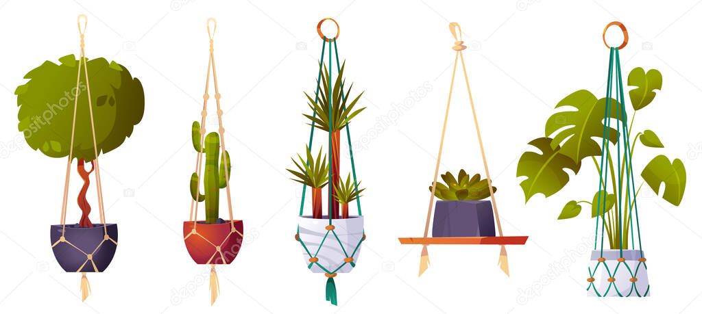 Macrame hangers with green house plants and flowers. Handmade planters, hanging pots with cactus, ficus, dracaena and monstera for home interior, garden or greenhouse, vector cartoon set