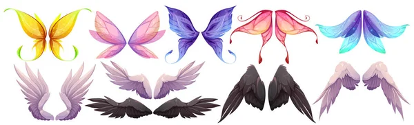 Různá Křídla Víl Motýla Ptáka Anděla Černým Bílým Peřím Vektor — Stockový vektor