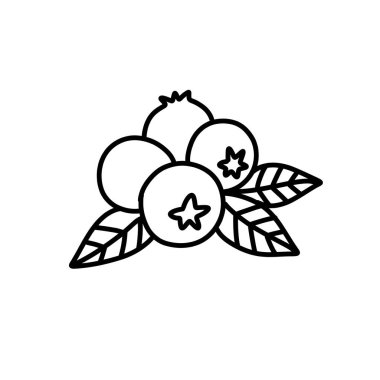 yaban mersini karalama simgesi, vektör illüstrasyonu