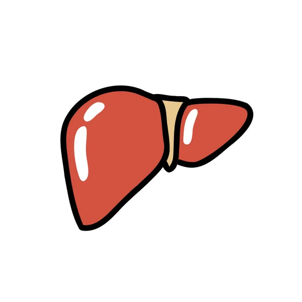 Ícone Doodle Fígado Ilustração Vetorial — Vetor de Stock